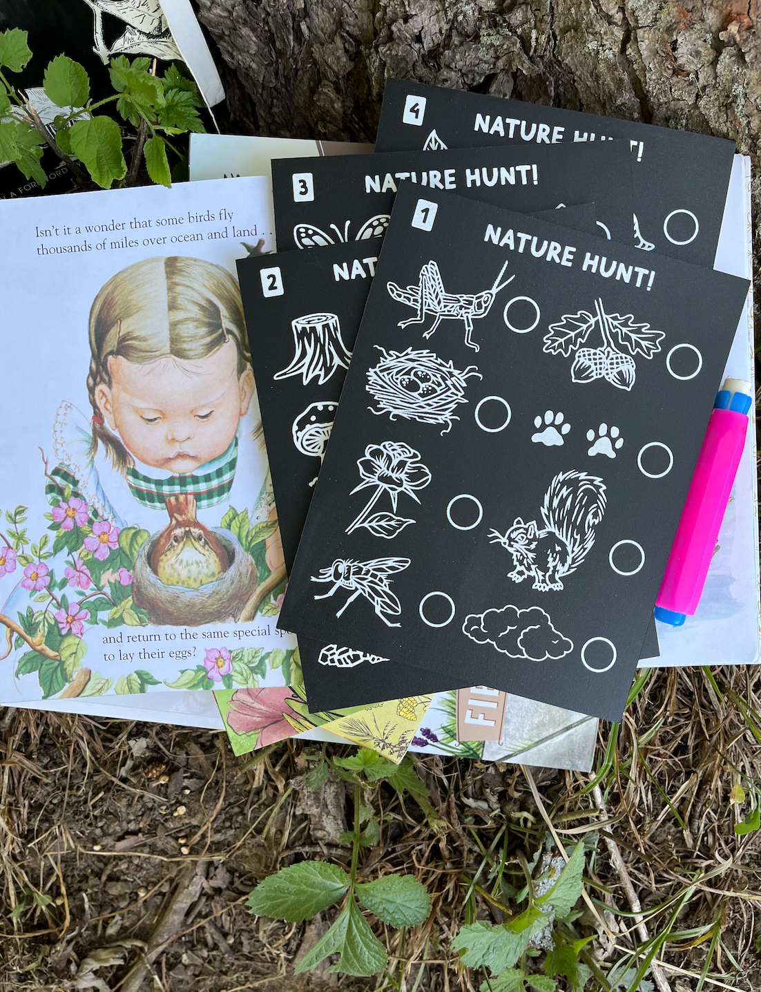 Nature Hunt Travel Set