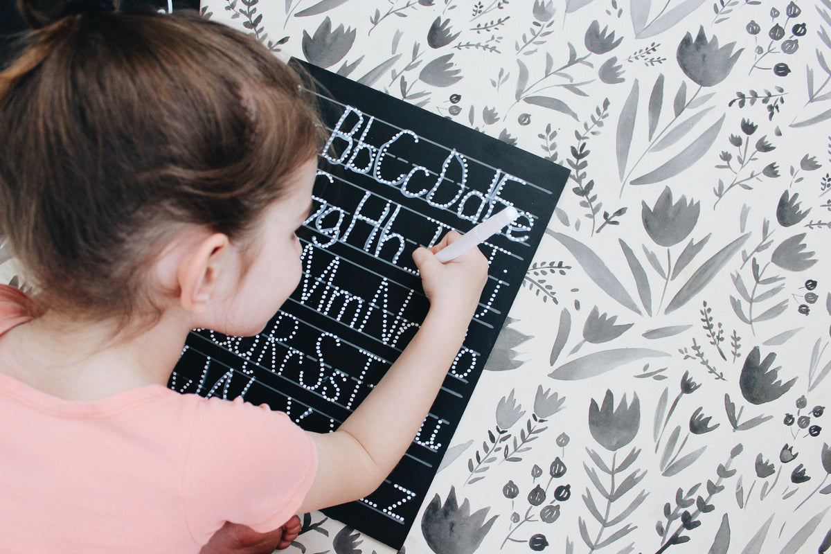 ABC Trace-n-Erase Chalkboard® (lined)