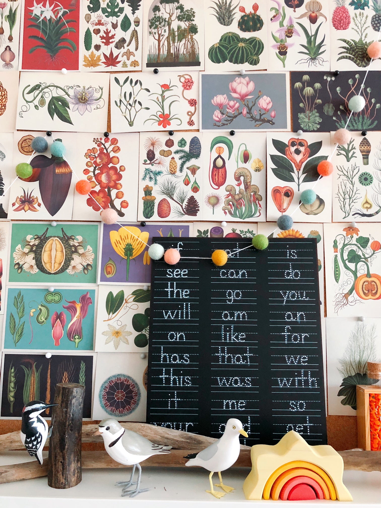 Step 4: Sight Words Trace-n-Erase Chalkboard®