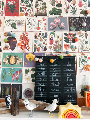 Step 4: Sight Words Trace-n-Erase Chalkboard®