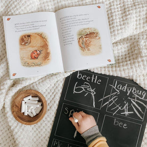 The Storyboard Trace-n-Erase Chalkboard®