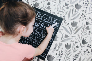 Lined ABC Trace-n-Erase Chalkboard®