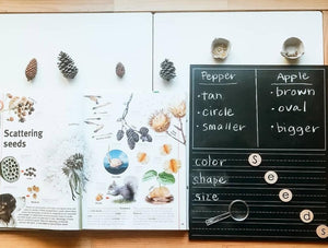 (NQP) Step 3: The Illustrator Trace-n-Erase Chalkboard®