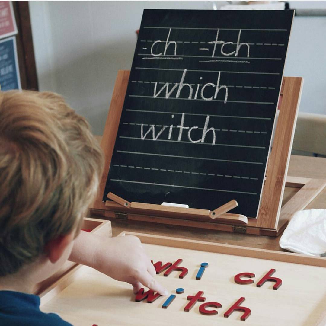 (NQP) 4 Line Trace-n-Erase Chalkboard (black)
